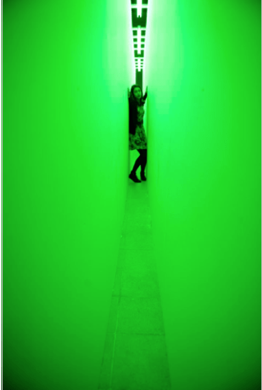 Screenshot from 2018-11-15 09.56.04