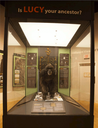 Screenshot from 2018-11-15 10-06-25